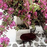 Otel Seaside By Belvedere 2*